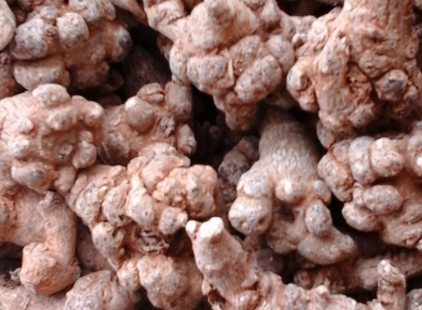 tam-tot-cho-nguoi-biet-dung-tam-viet-nam
