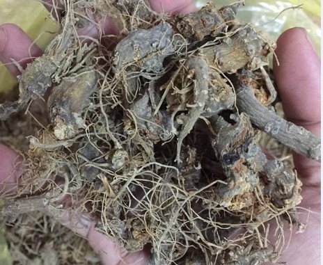 tam-tot-cho-nguoi-biet-dung-tam-viet-nam