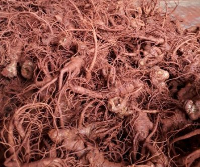 tam-tot-cho-nguoi-biet-dung-tam-viet-nam