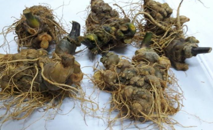 tam-tot-cho-nguoi-biet-dung-tam-viet-nam