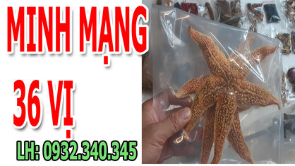minh mạng thang 36 vị